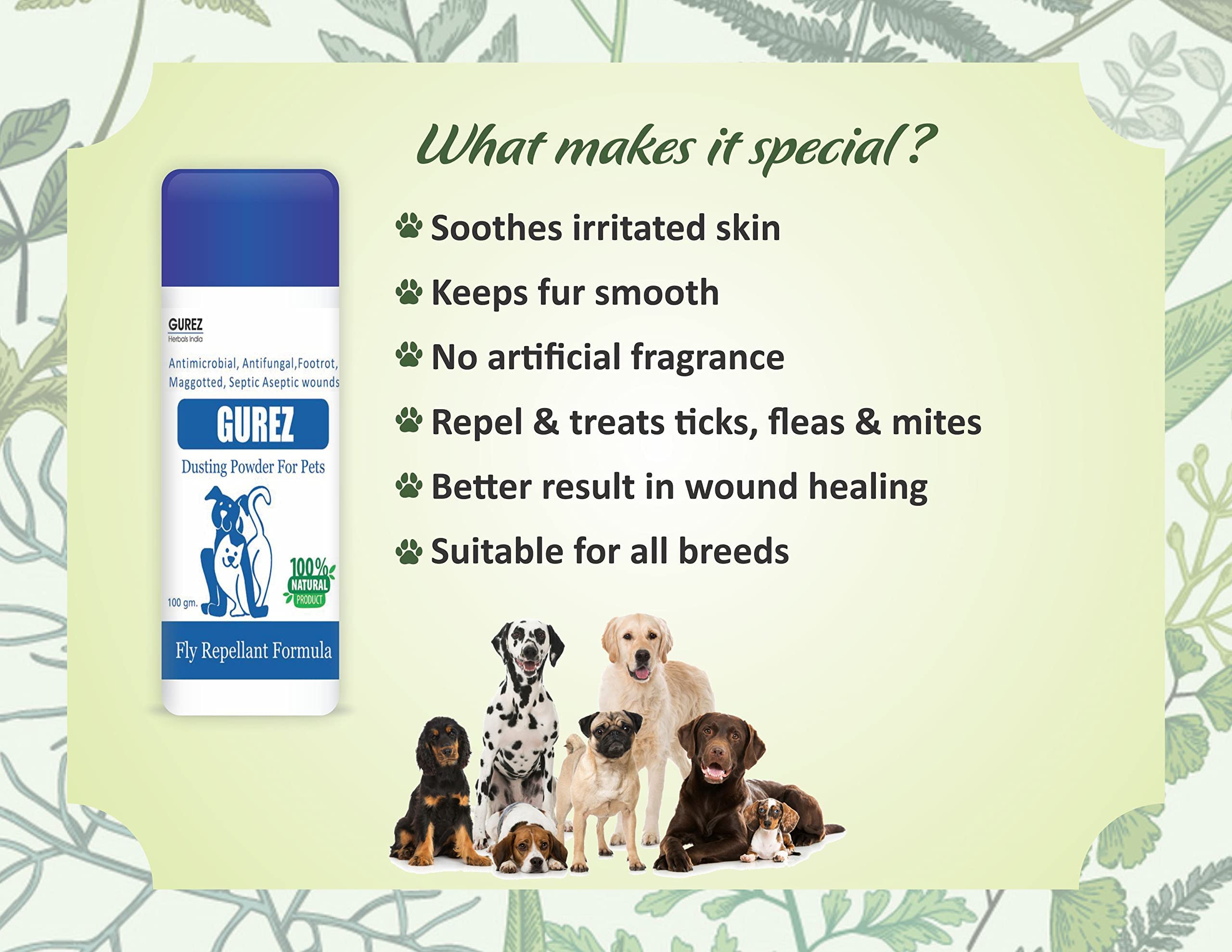 Gurez Herbals India Natural Pet Powder for Dogs and Cats || for Fly Repellant Formula || Anti-ithing, Anti-Fungal Infection (100Gm Powder) 1