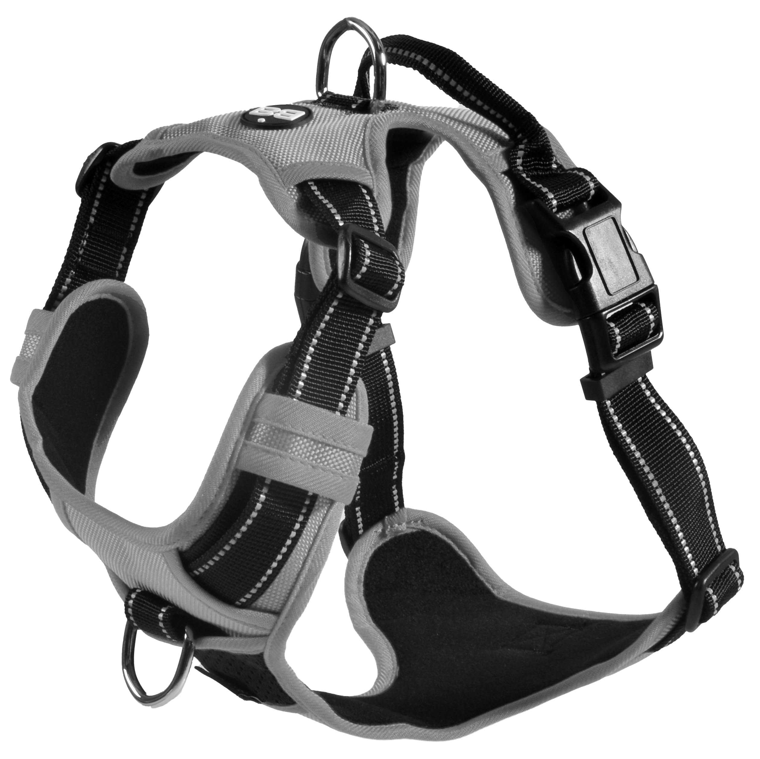 Collare Per Cane Economico In Nylon Arancione Con