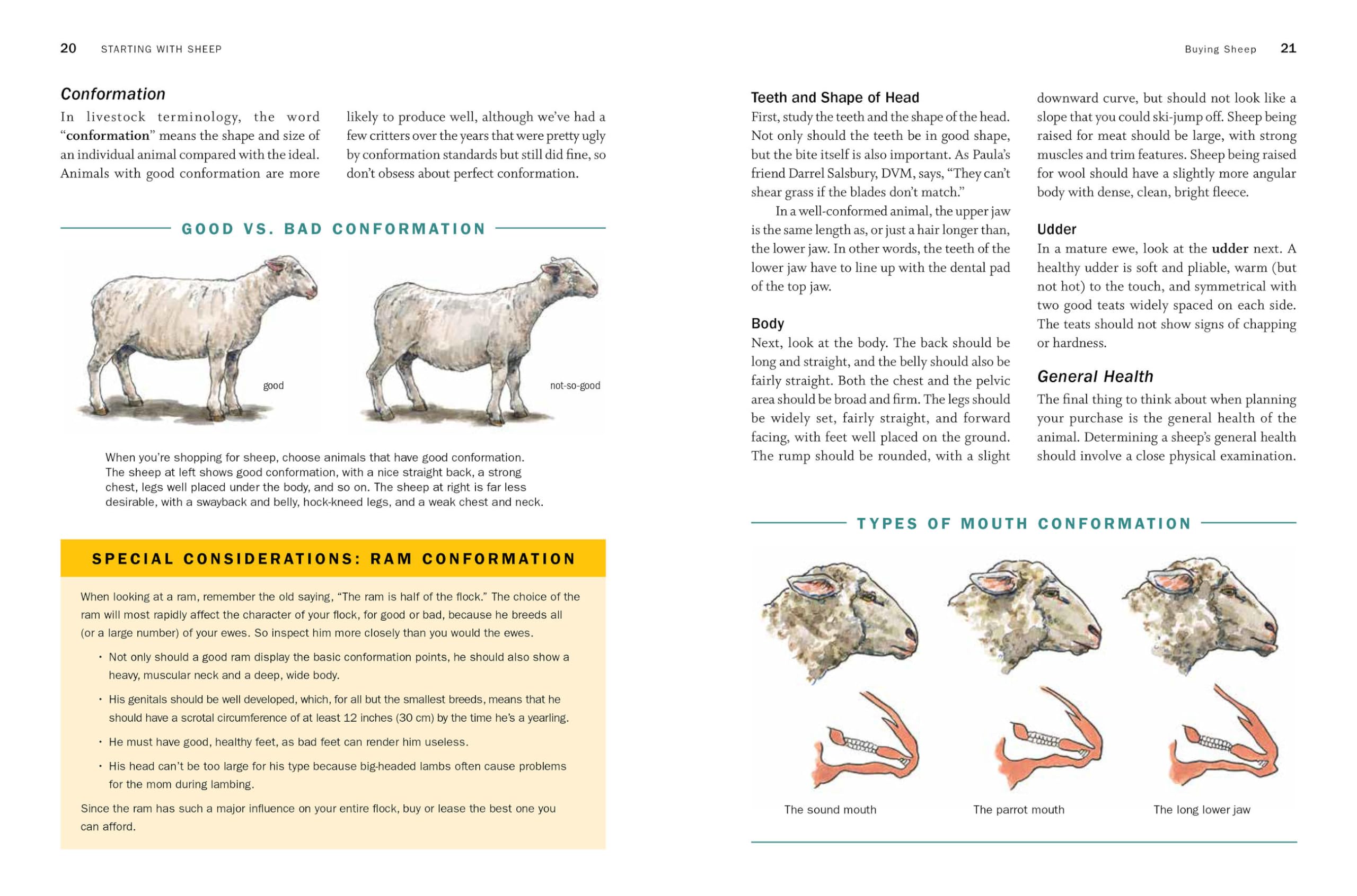 Storey's Guide to Raising Sheep, 5th Edition: Breeding, Care, Facilities (Storey’s Guide to Raising)