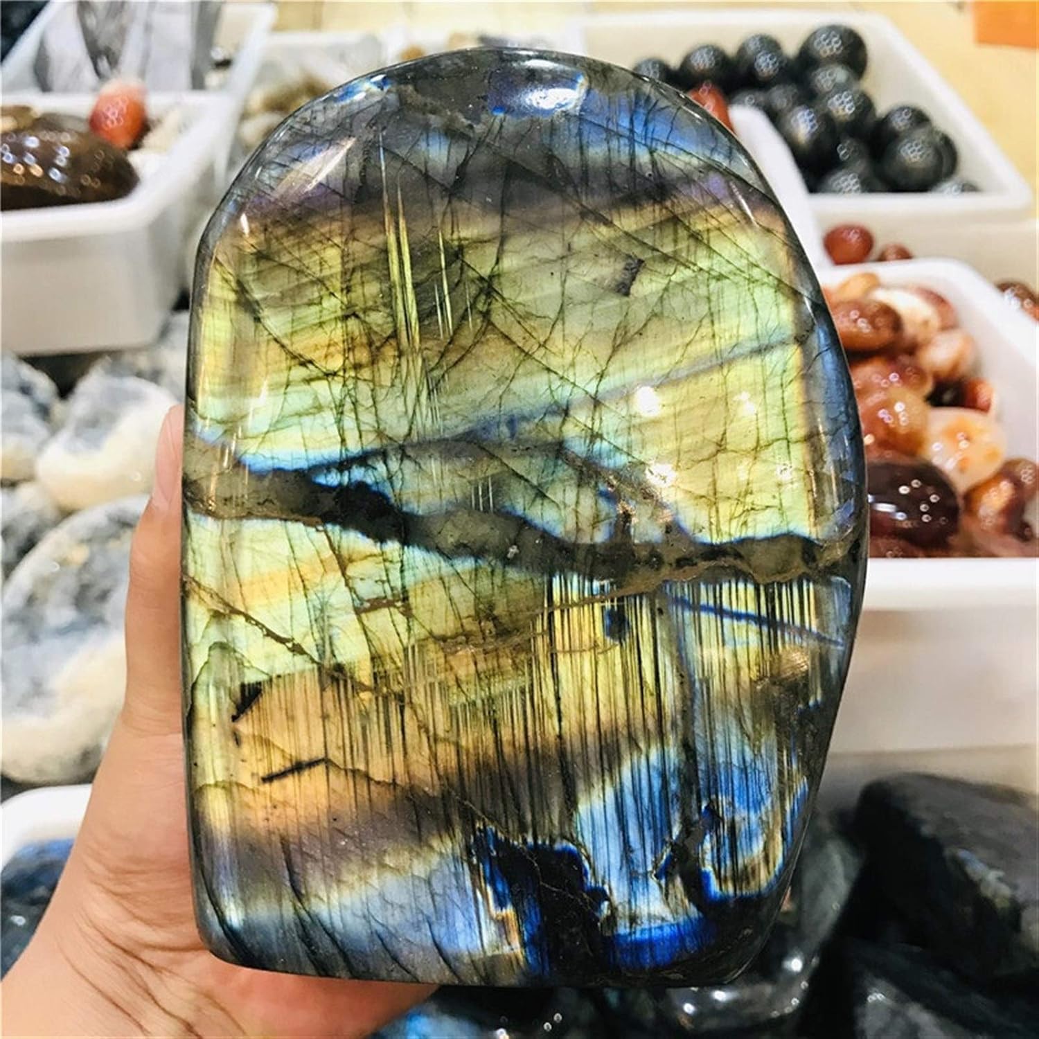 カラーストーン セール】 カラーストーン コイン ネックレス （ネックレス・ペンダント