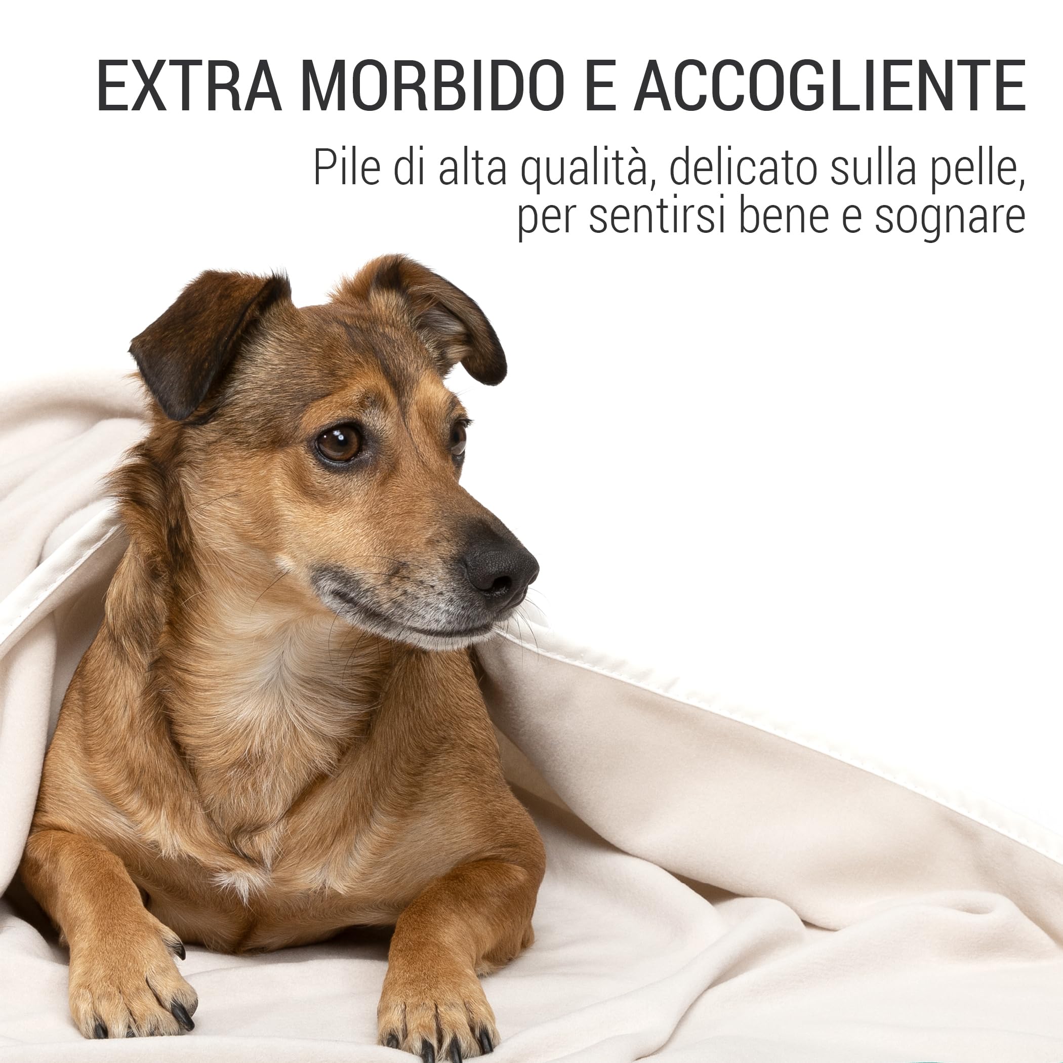 Doctor Bark Morbida coperta per cani lavabile fino a 95°C, morbida coperta in pile igienica, per divano e cuccia, morbida coperta per animali domestici – Made in Germany (lunghezza – 120 x 90 cm)