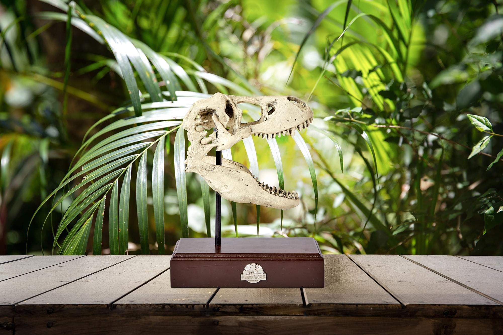 Jurassic World Tyrannosaurus Rex Skull Resin Replica 9x8Inch TRex