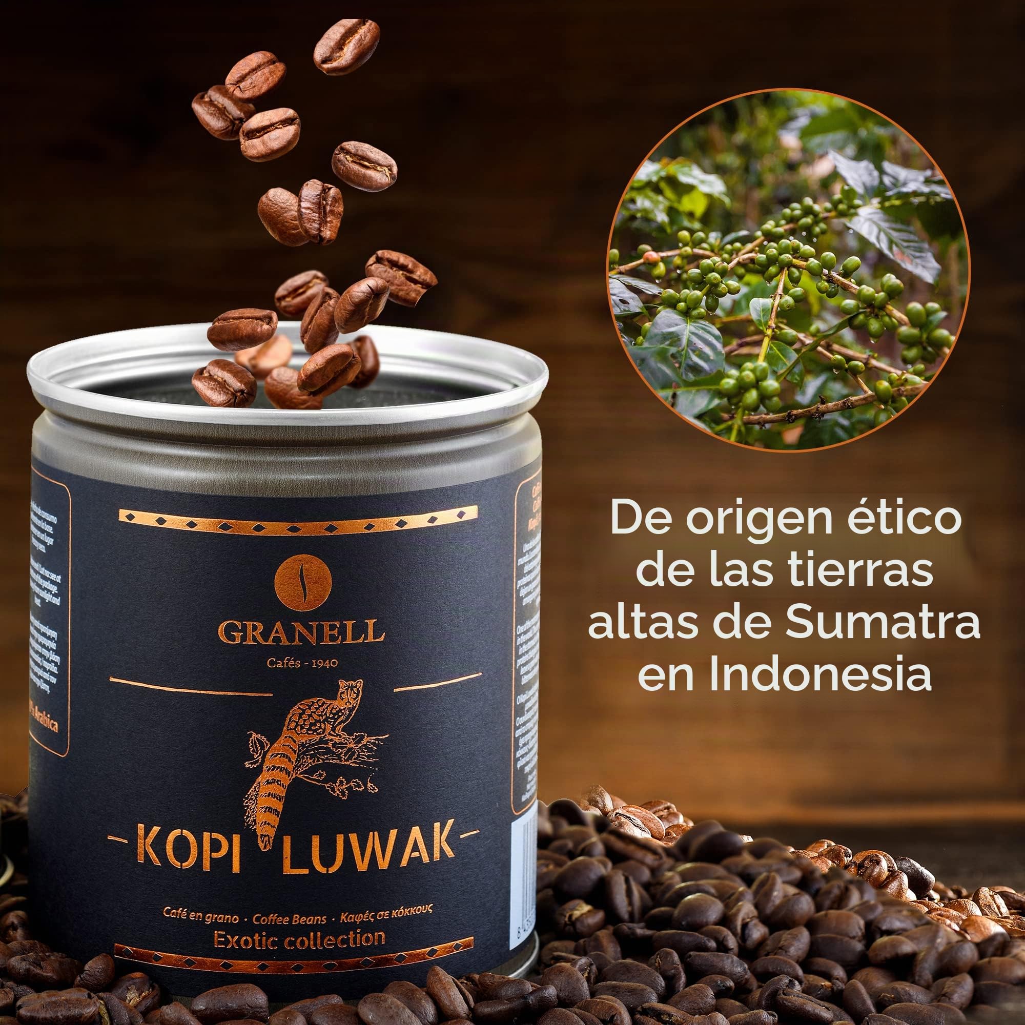 Granell - Exotic Collection - Kopi Luwak | Cafe en Grano Natural | Café en Grano 100% Café Arabica, Café Gourmet de Marcado Aroma - 100 Gr