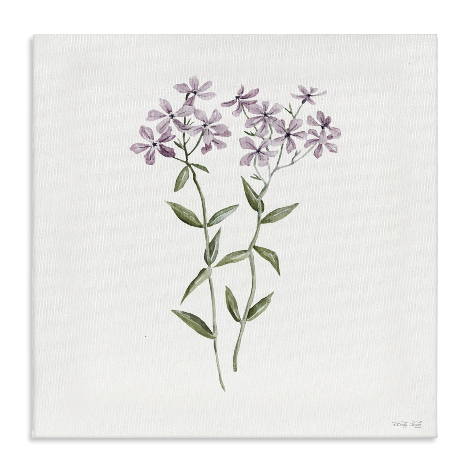 Stupell Industries Unframed 'Purple Phlox Botanical'| Canvas Art