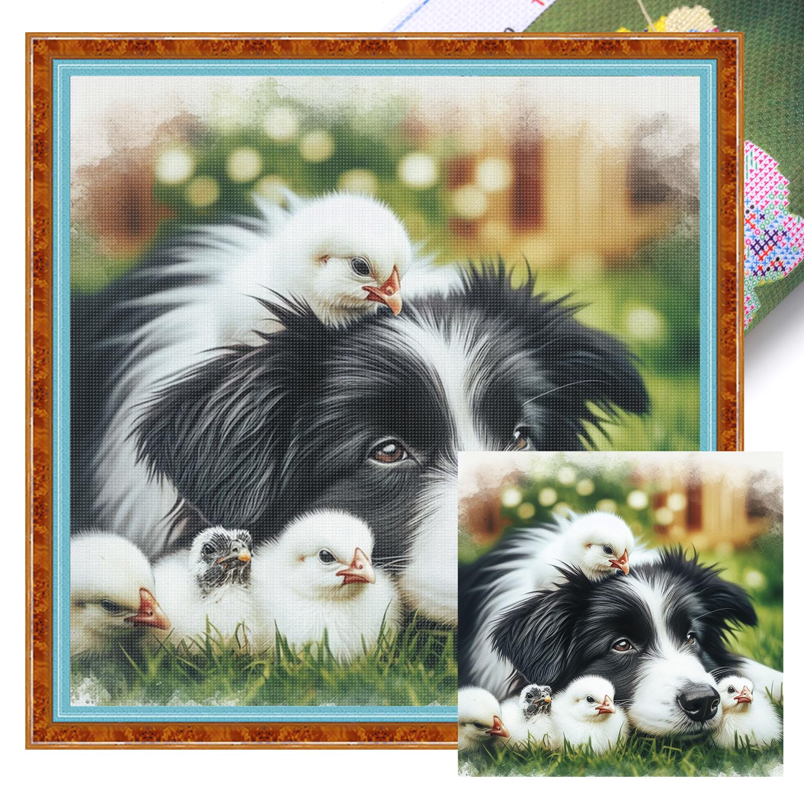 Poetrydraw 11Ctacc-11739__C__40x40 Border Collie And Chicks Full 11Ct Diy Stamped Home Cross Stitch Kits 40X40cm (11Ctacc-11739 C 40X40)