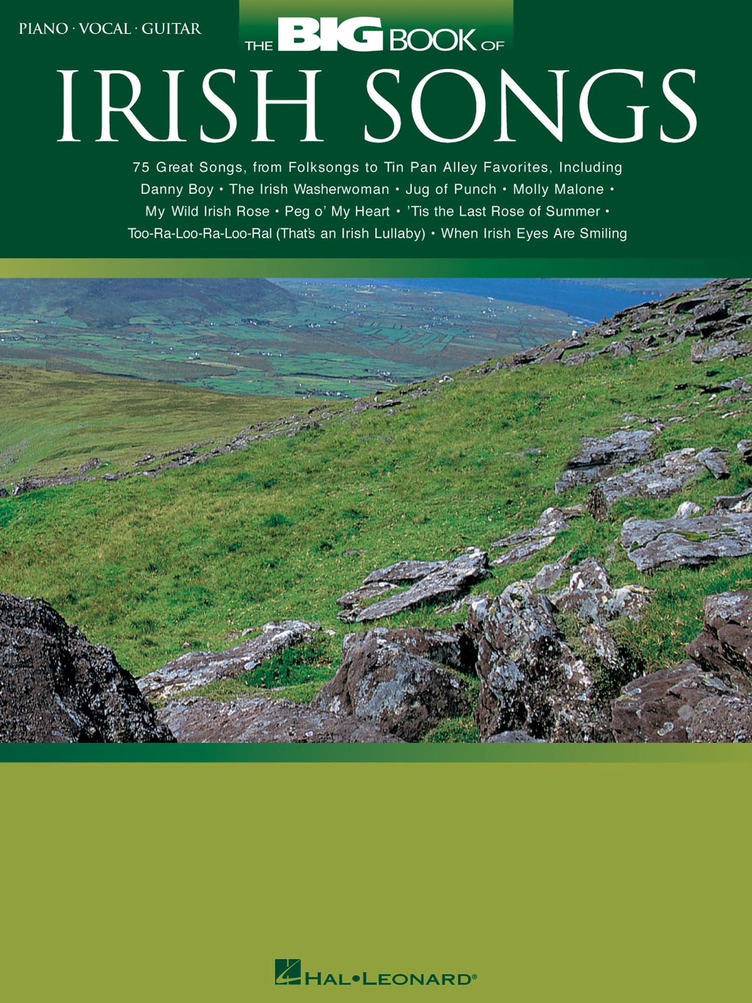 The Big Book of Irish Songs by   - 9780634058479