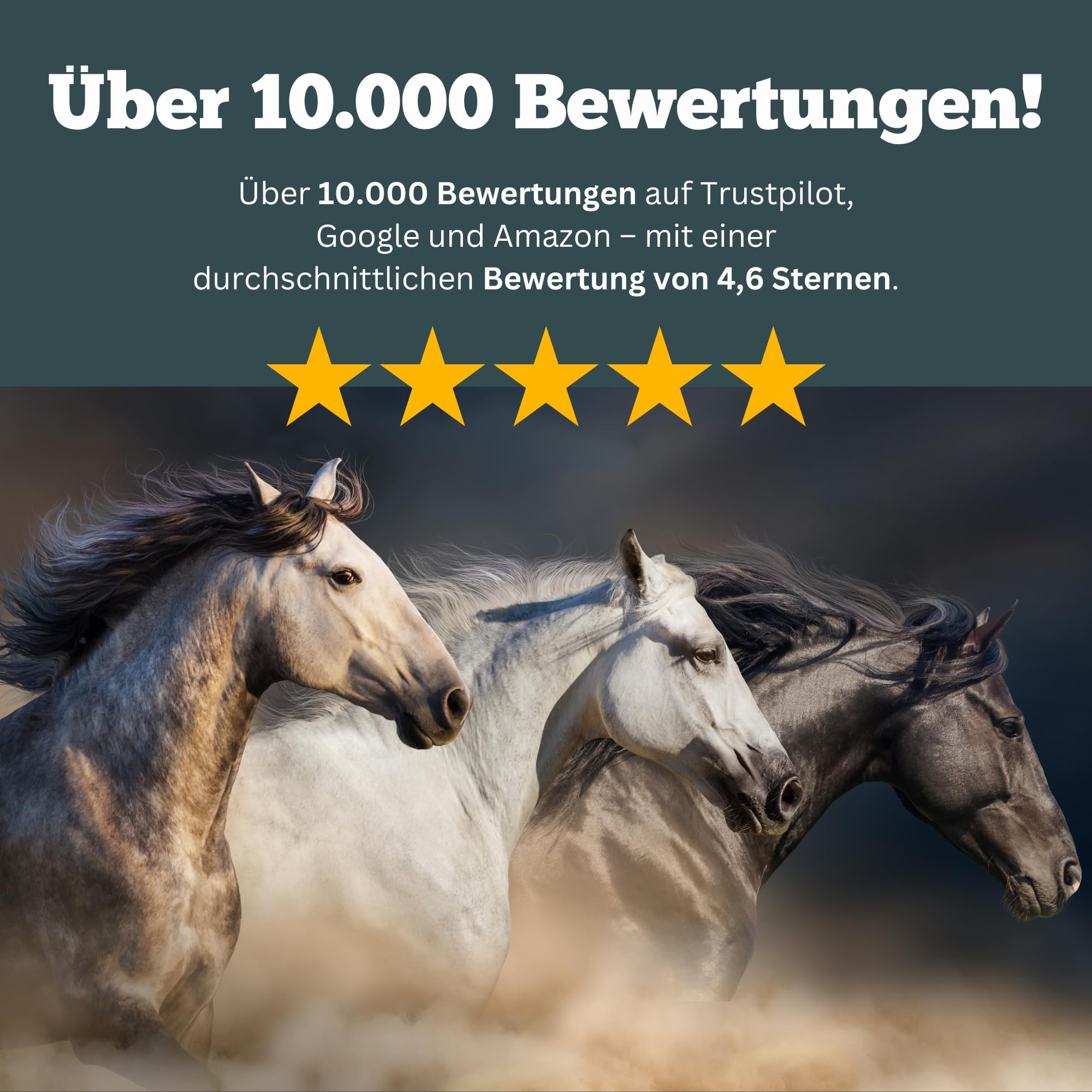 Smooth Locomotion Horse - Suplement diety dla silnych pleców, tylnej ręki i kopyta - wytrzymałość na koń - 180 tabletek po 1000 mg