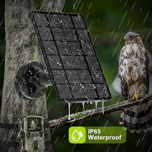 Miniatura 4 de Panel solar para cámara de sendero, cámara de sendero, panel solar, kit de cargador solar con batería recargable de 5000 mAh incorporada, salida de