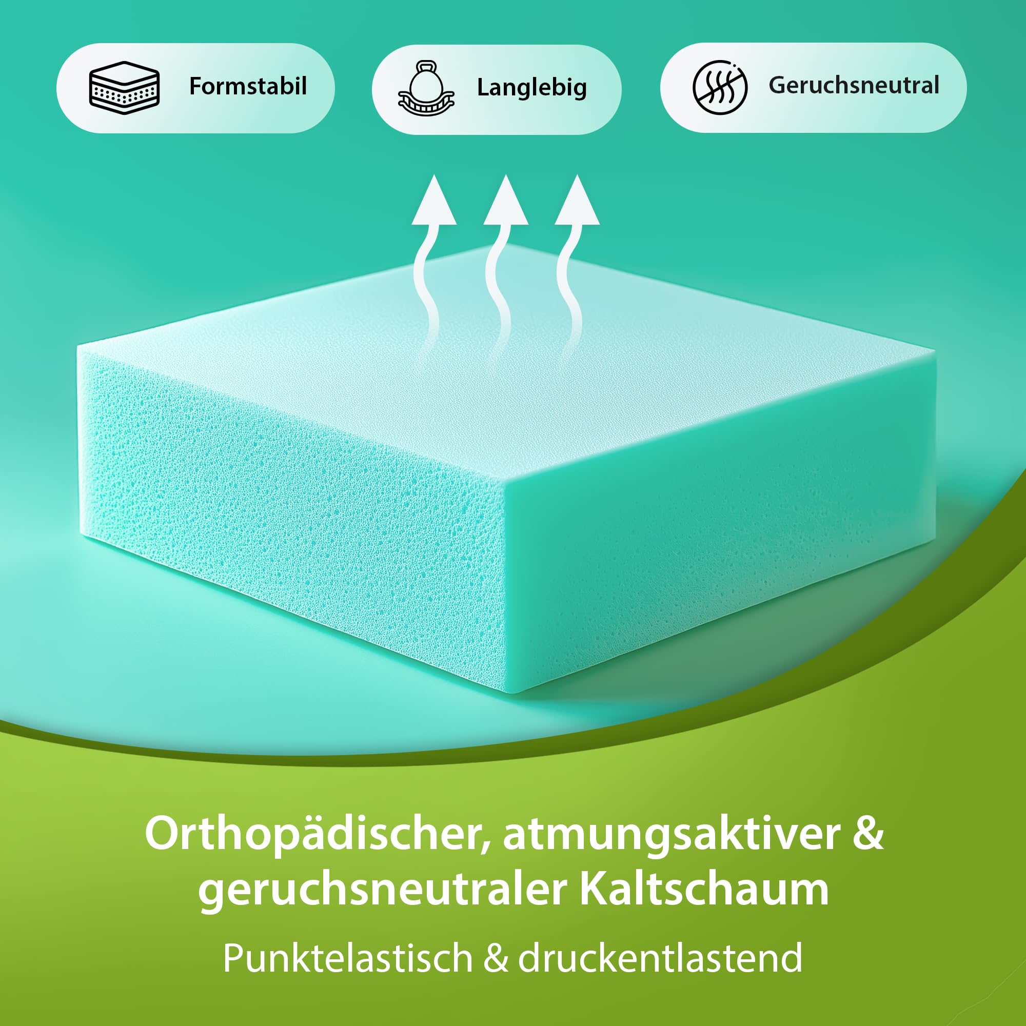 SHOGAZI Faltmatratze Klappmatratze 90 x 200 x 12 cm – Gästematratze klappbar Made in Germany, VERGLEICHSSIEGER aus orthopädischem Kaltschaum, Anthrazit