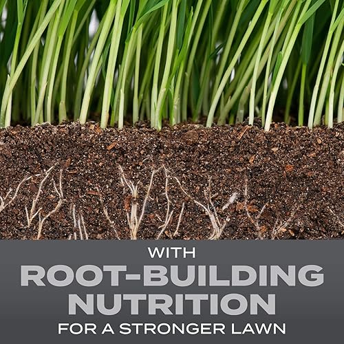 Miniatura 3 de Scotts Turf Builder Grass Seed Northeast Mix es una mezcla premium para césped del noreste con nutrición de construcción de raíces, 5.6 libras.