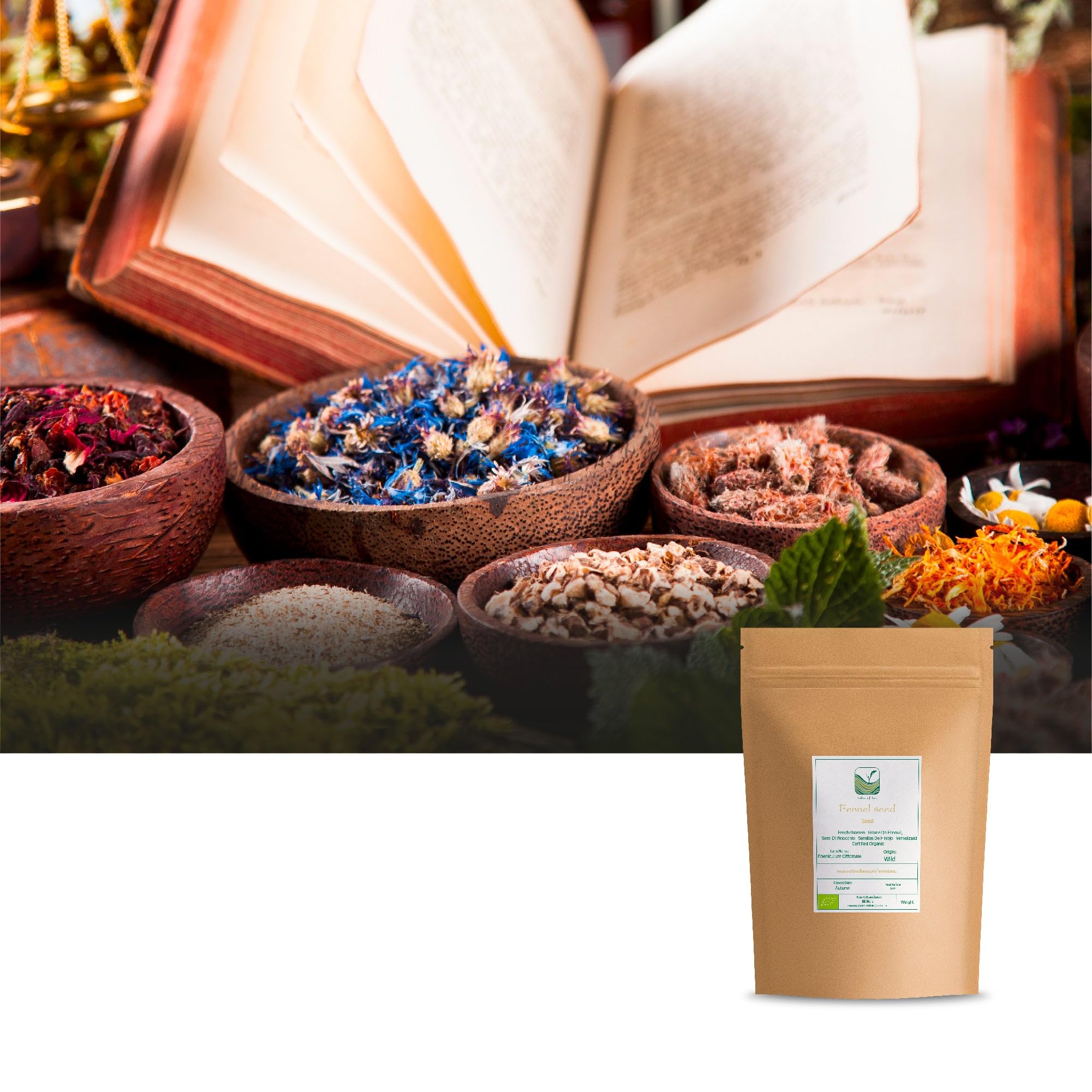 Fennel Seed Organic Herbal Delicacy - Culinairy Grade - Foeniculum Vulgare Seeds Fenkel 200g | chrupiące ziarna o słodkim anyżowym smaku do pieczywa i marynat warzywnych