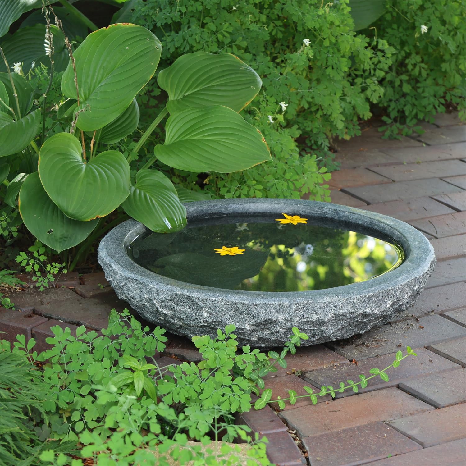 CLGarden Naturstein Wasserschale GVT2 aus Granit Ø 46cm Vogeltränke groß Garten Stein Boden Vogel Bad frostfest