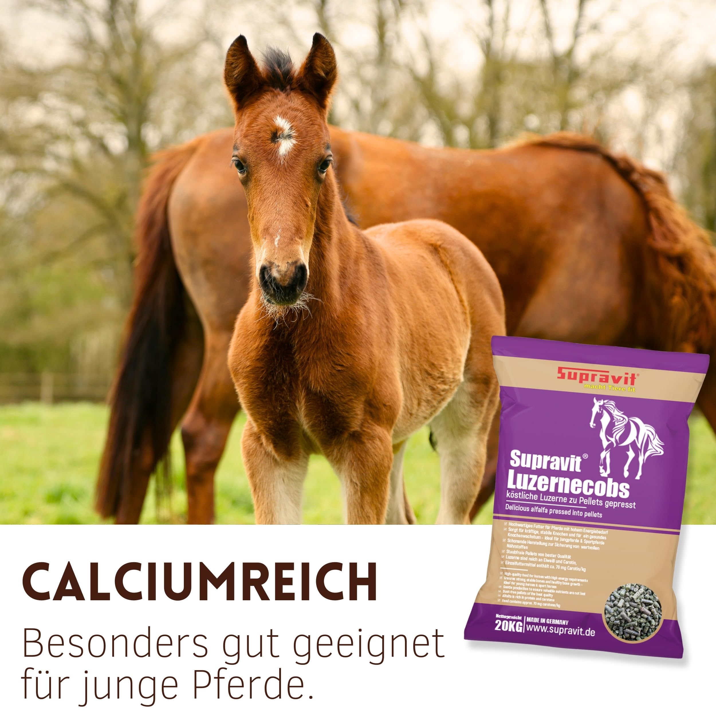 Supravit Luzernecobs 20kg - energiereiches Pferdefutter I Luzernepellets mit hohem Anteil an Carotin I liefert wichtige Mineralien für alle Pferde