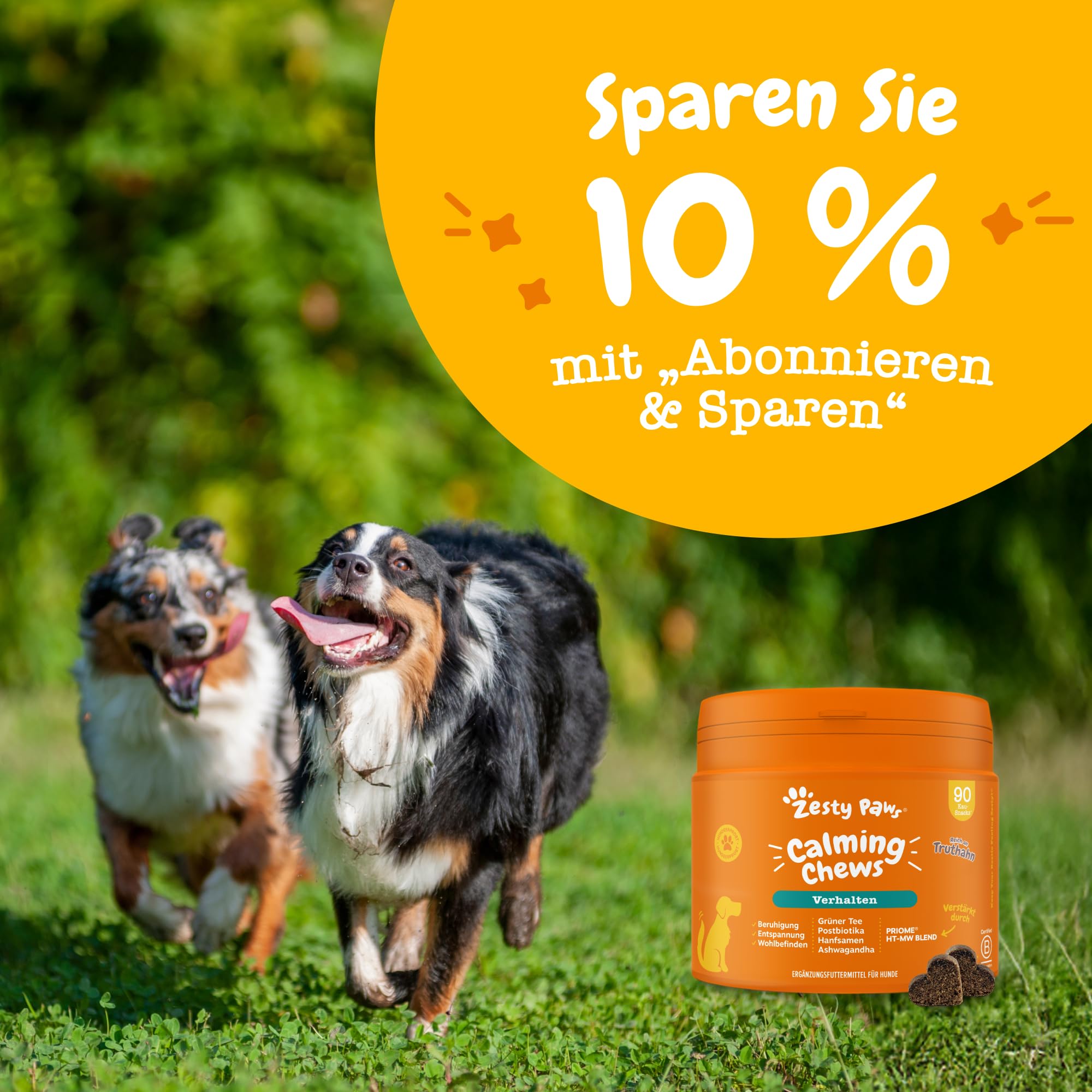 Zesty Paws Beruhigung Dogs | Unterstützt bei Trennungsangst, Stress, Hyperaktivität & Entspannung | Beruhigungsleckerlis mit Ashwagandha, L-Tryptophan & Grüntee | Für Hunde Täglich | 90 Chews