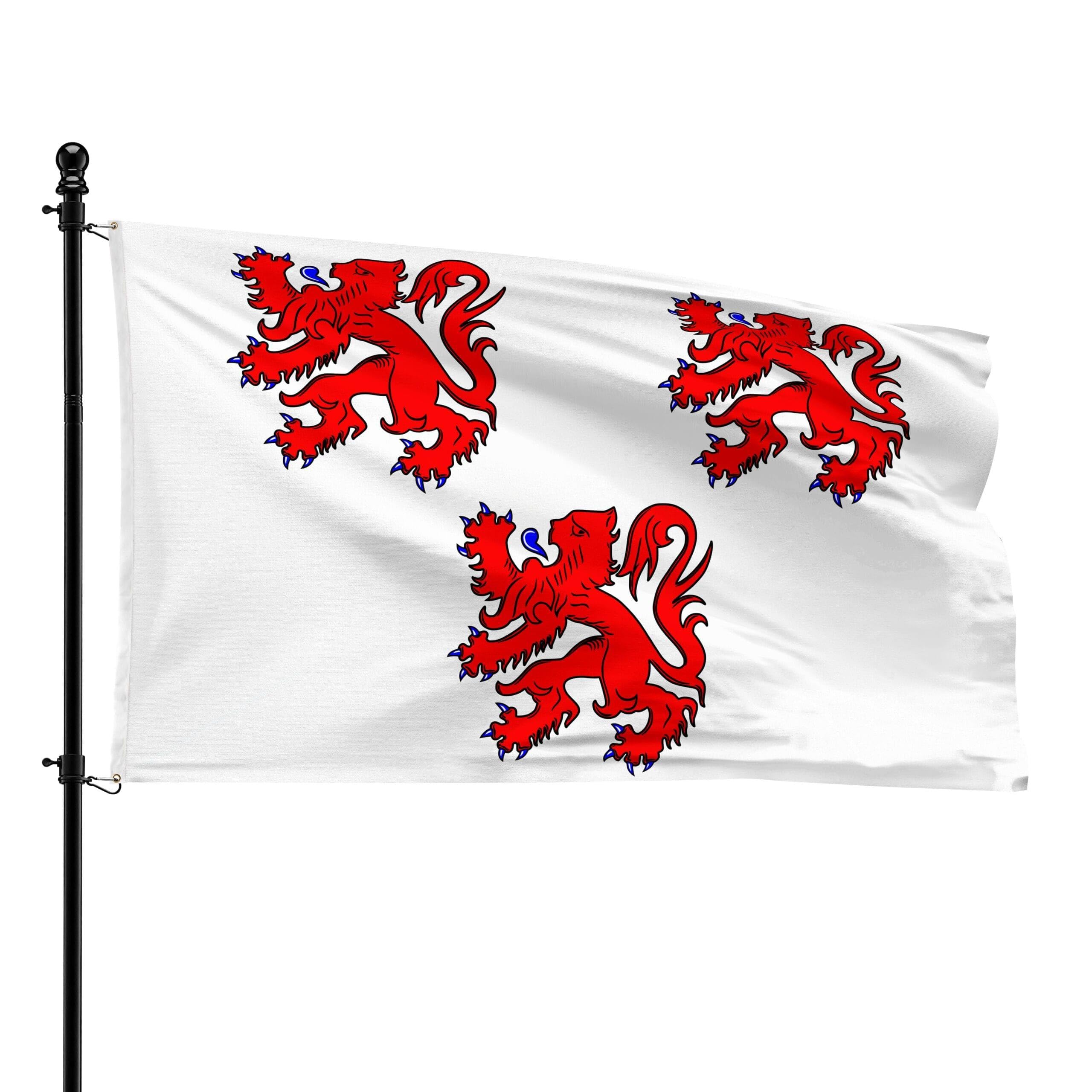 Bandera de Haaltert 90x150 cm para decorar eventos culturales y balcones vecinales