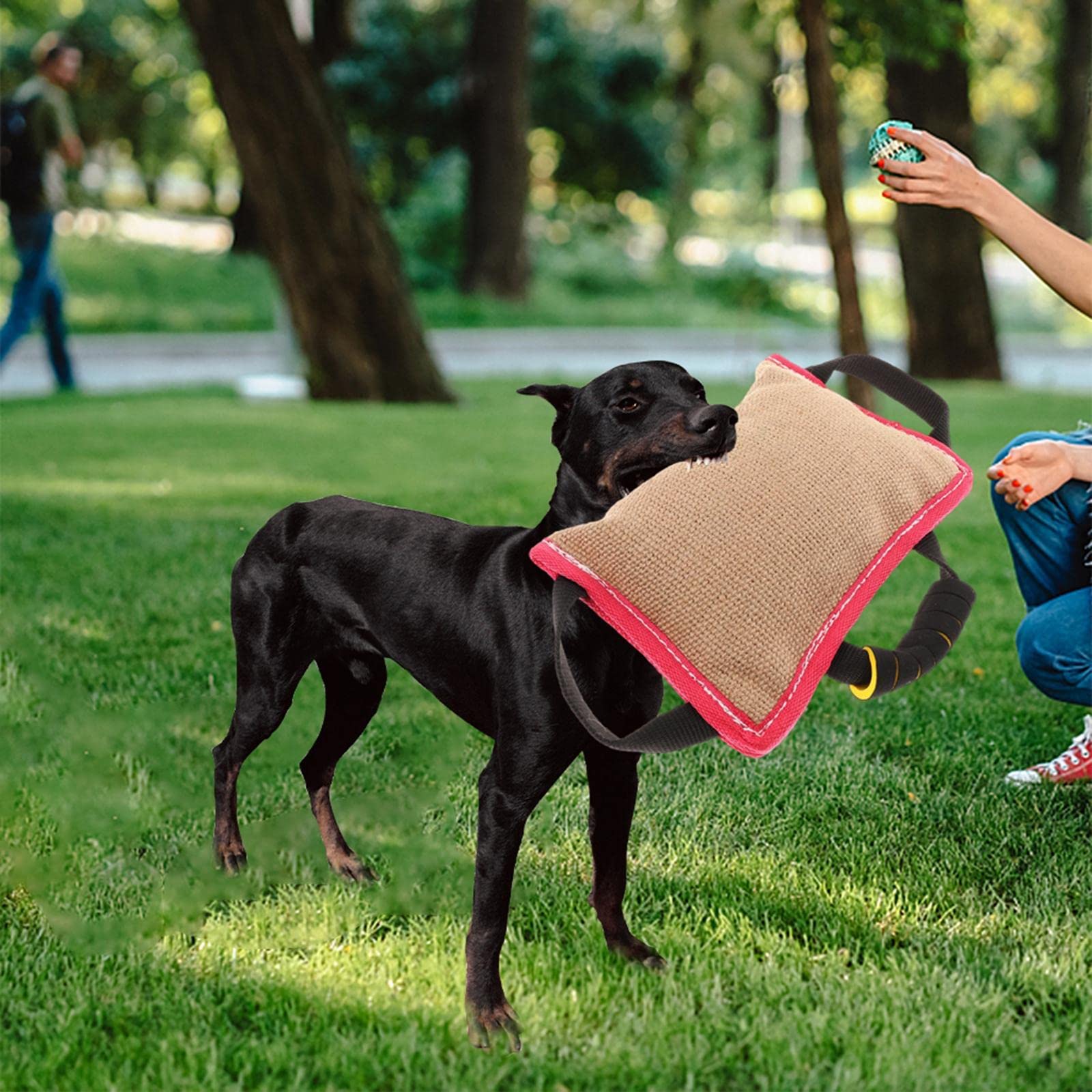 Almohada Mordedor para Perros Accesorio Entrenamiento Juguete Interactivo Canino Resistentes y Cómodos Apto para Cachorros