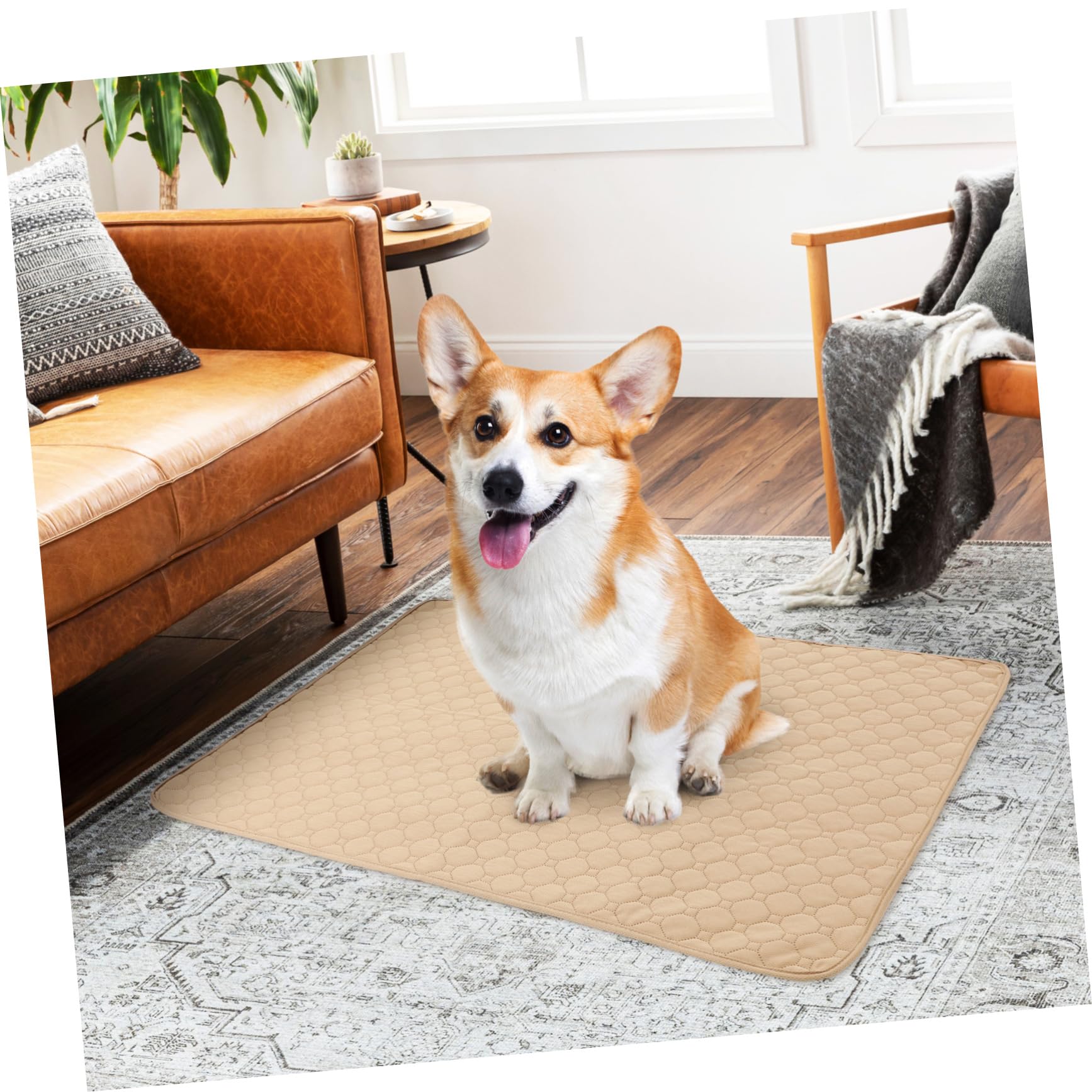 Empapadores para Orina de Perro Extra Grandes Lavables 2 Piezas | Poliéster, Base Antideslizante Reutilizable, para Gatos y Perros, Uso en Sofás y Jaulas