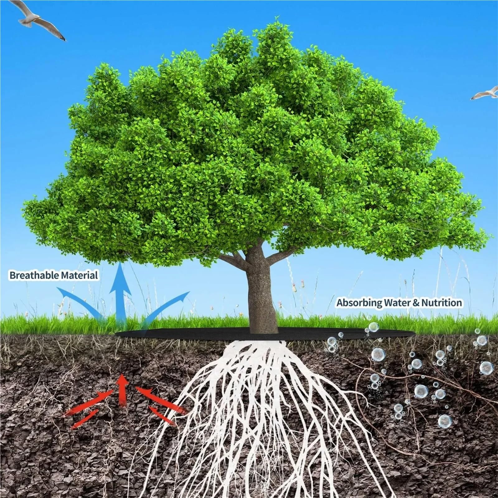 Telo Pacciamatura Anelli di Copertura for Alberi in Tessuto Non, Tappetino Rotondo for barriera Contro Le Erbacce | Tappetino for piante in tessuto barriera contro le erbacce e panno in feltro antierba for attrezzi da giardino(32CM,20pcs)