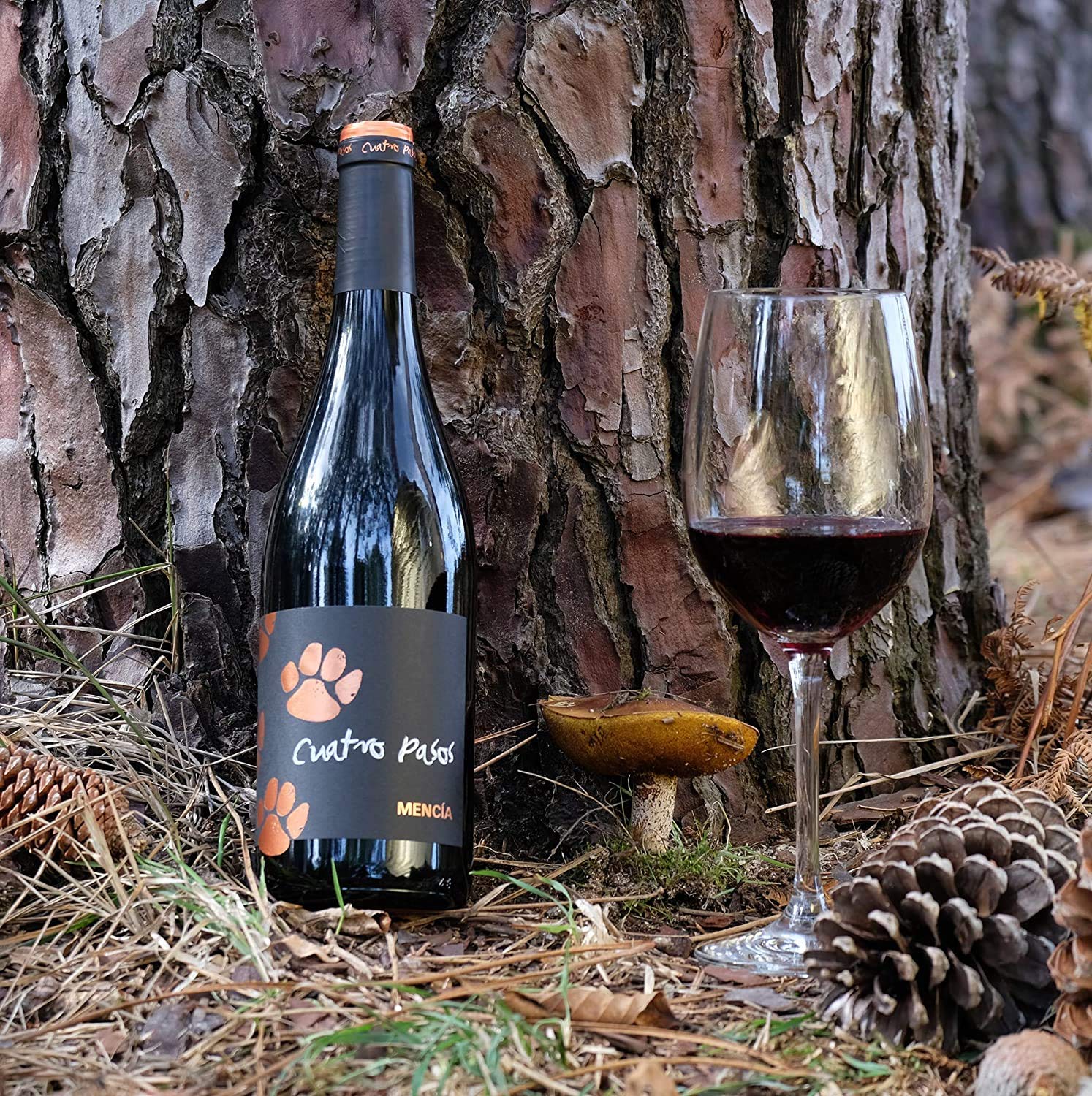 Cuatro Pasos Vino tinto mencía DO Bierzo 750 ml (Paquete de 6)