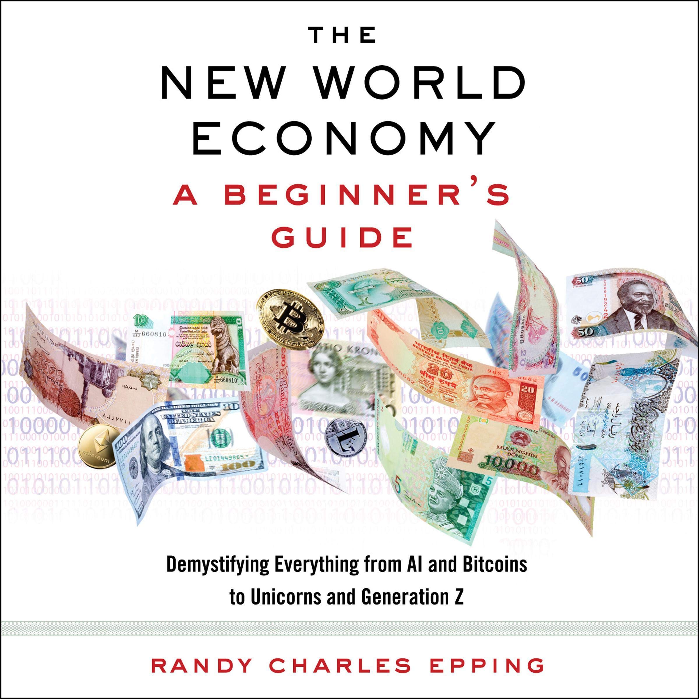 Cover art for The New World Economy: A Beginner's Guide