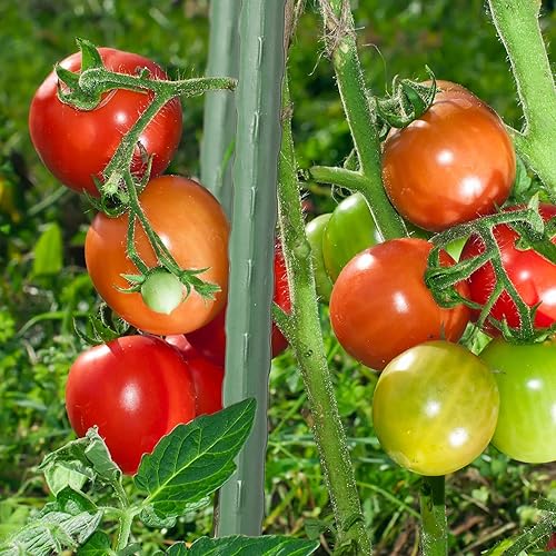 Miniatura 2 de Hotop 35 estacas de jardín, estacas de jardín, soporte para plantas, estacas de metal resistentes para tomate, 47.2 pulgadas