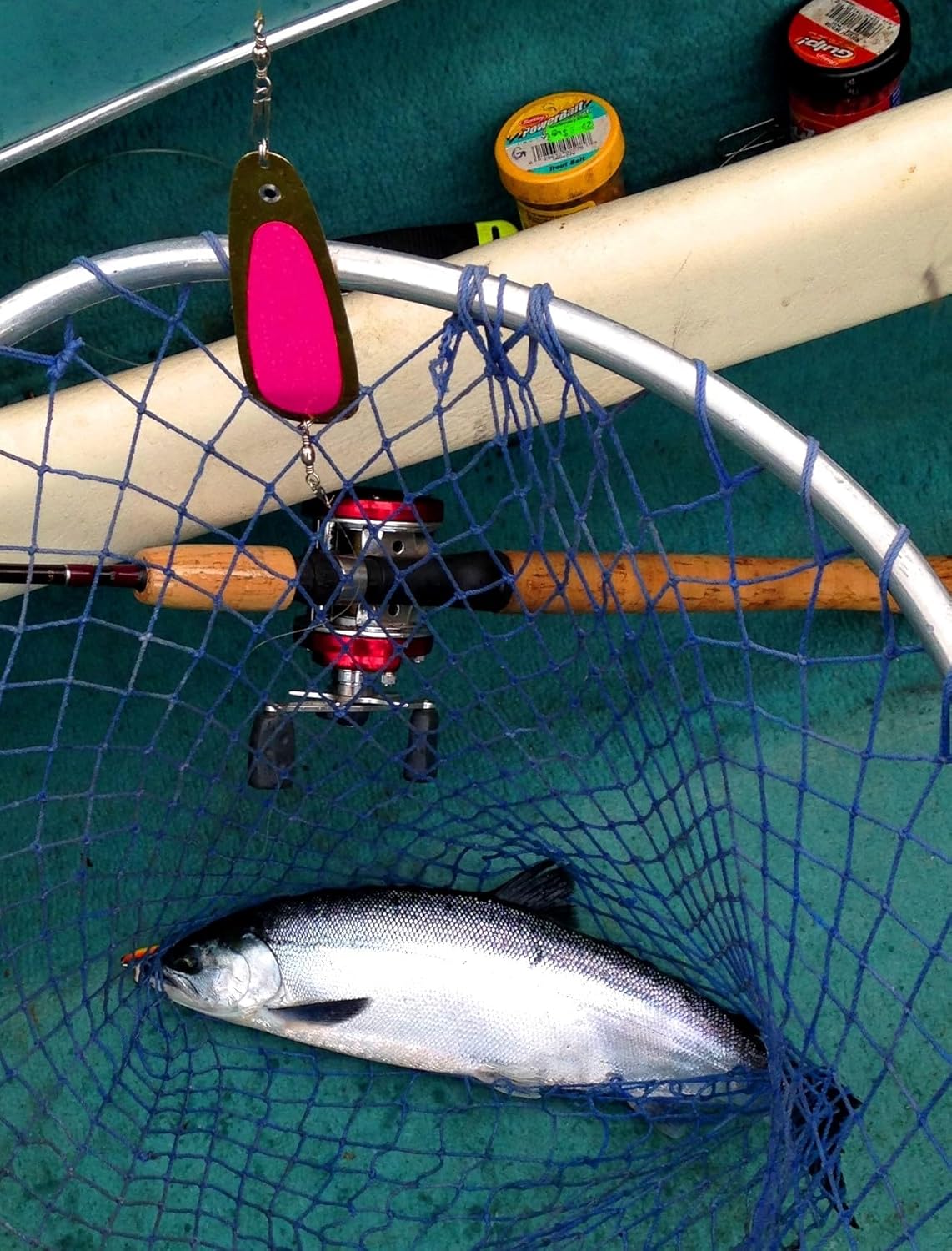 Kokanee Dodgers (4): uv Fluorescent/Brass