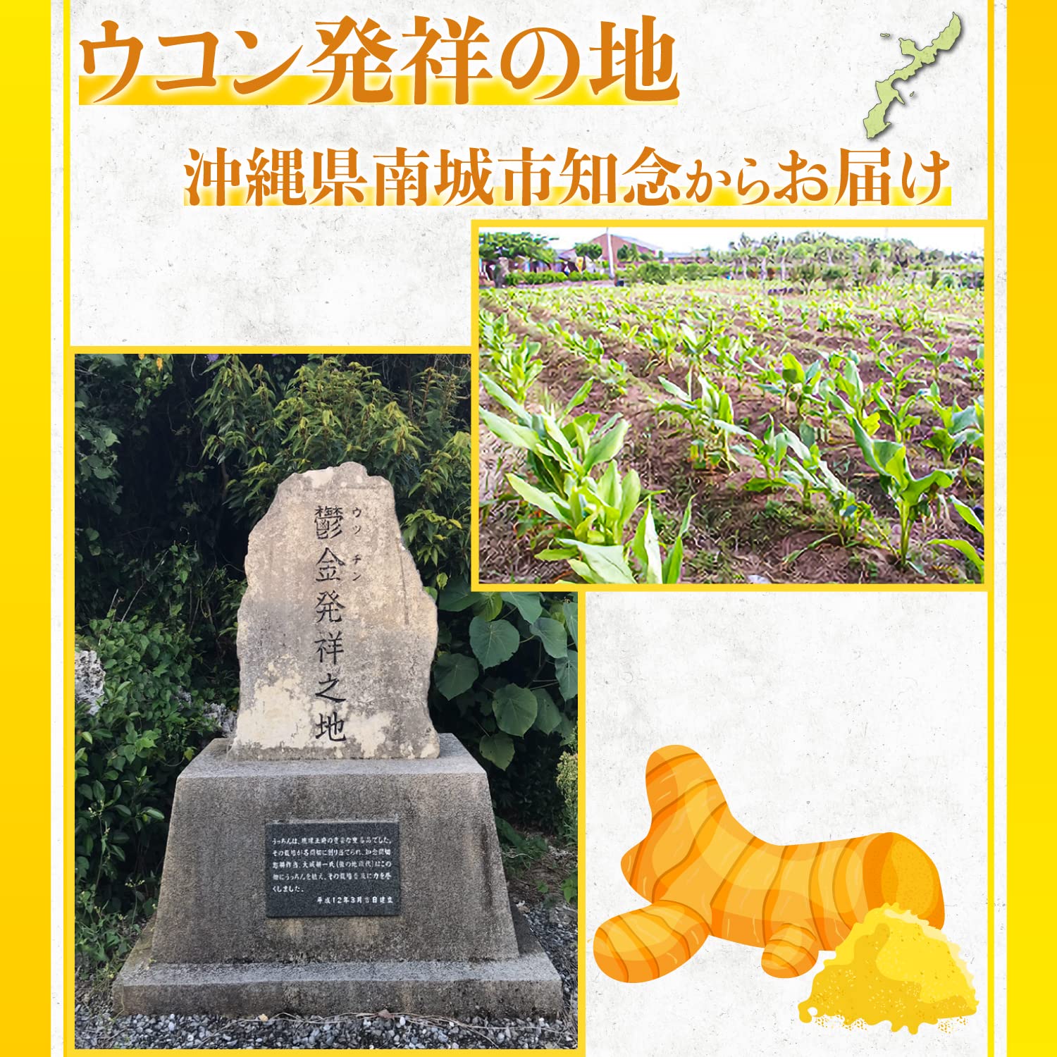 3箱セット♪春花ウコン あすか 粒タイプ 新品未開封 200mg×1,000粒 Amazon | Nnakazen 春うっちん 650粒 3個セット 春ウコン 無添加・無