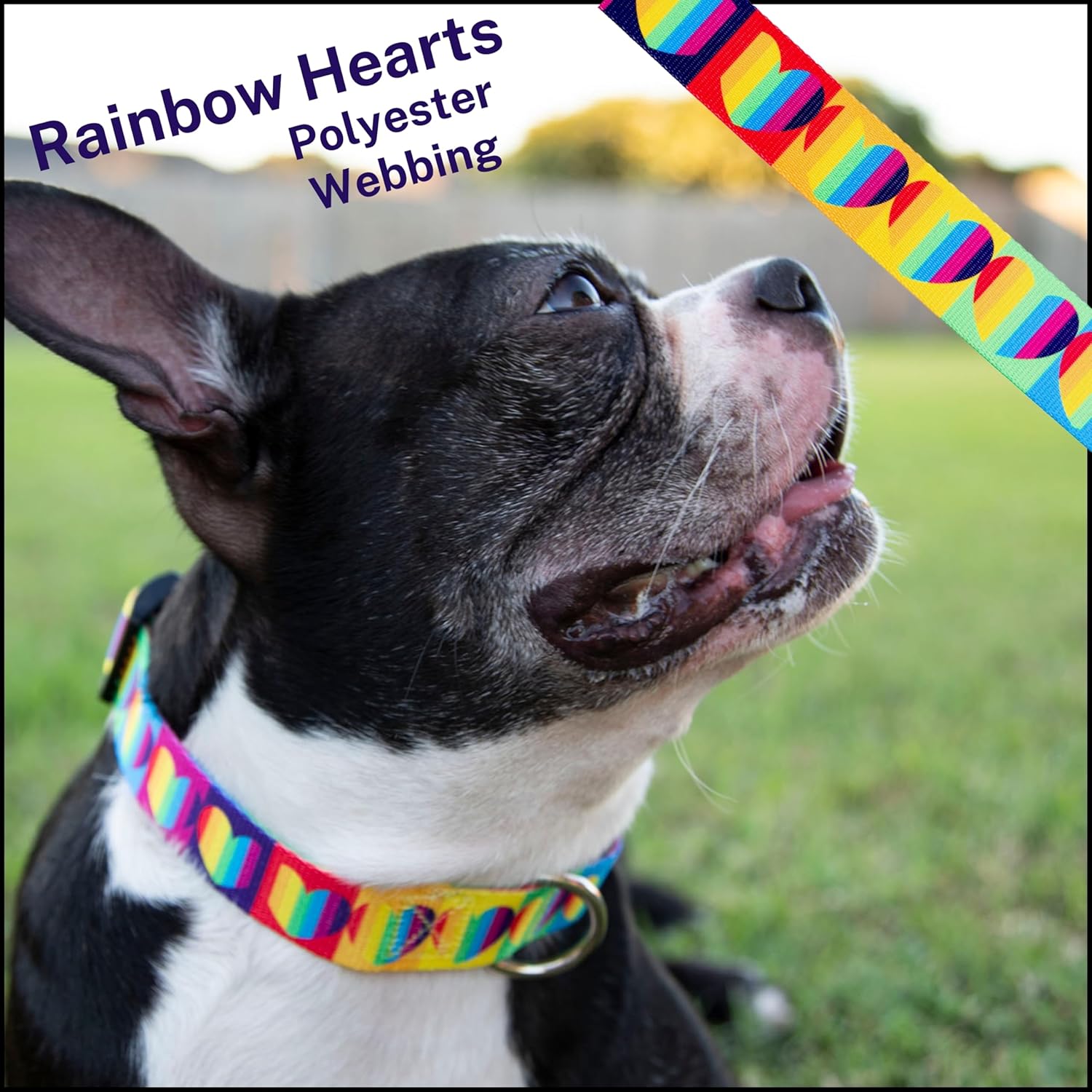Country Brook Design - Rainbow Hearts Polyester Webbing
