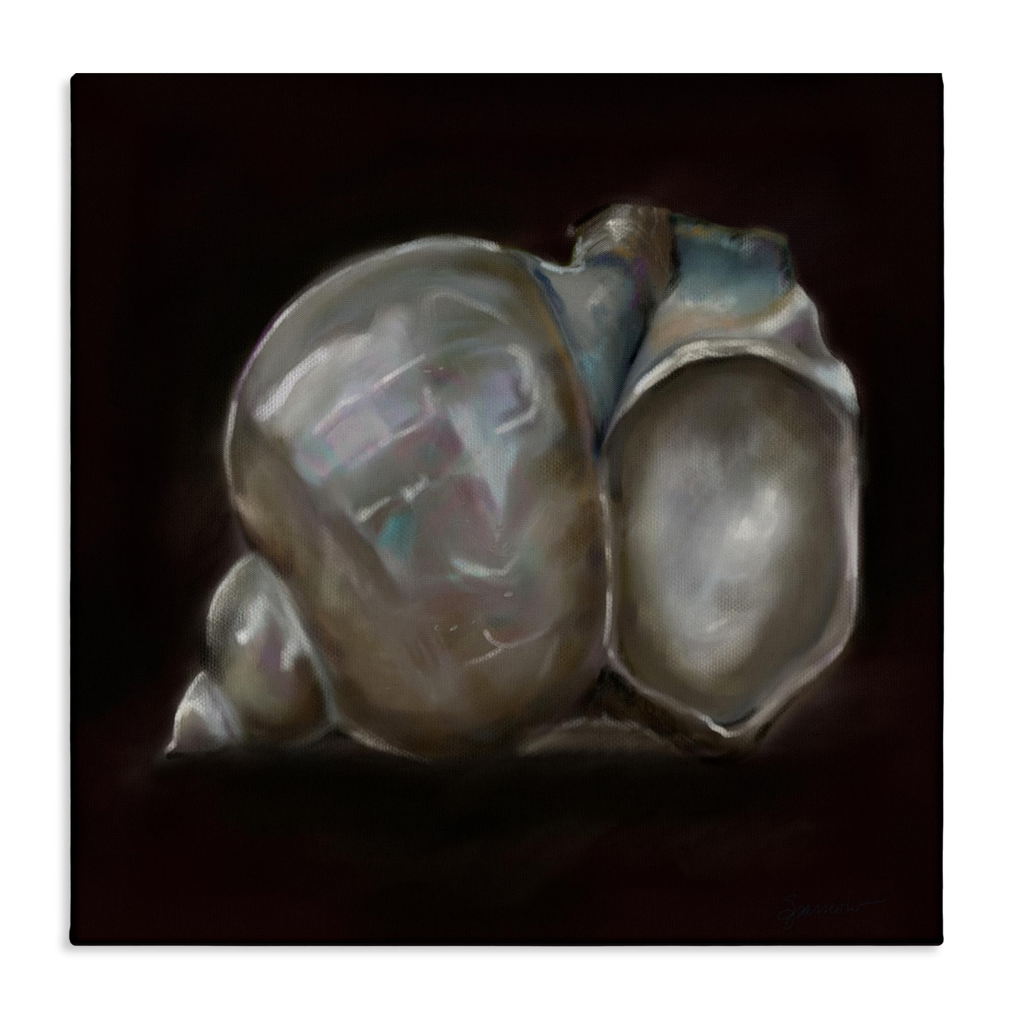 'Treasure Of Sea Shell'| Canvas Art