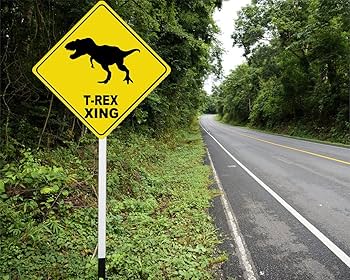 T*R様 珍品 キリギリス標本 楽天市場】昆虫標本（ホビー）の通販