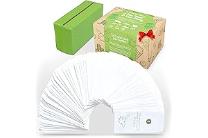 100 Day Envelope Challenge Kit for Saving Money