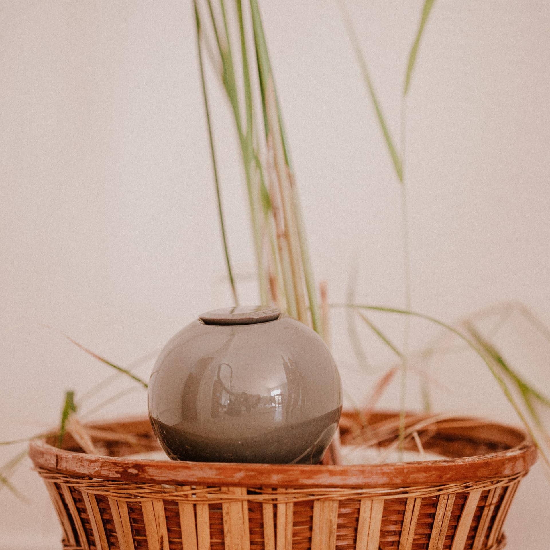 OLLAS LUTTON Olla Terracota para Plantar 25 cl | Riego automático y ecológico para Plantas de Interior y Exterior | Sistema de riego Natural | Autonomía 2 días | OYA Gris
