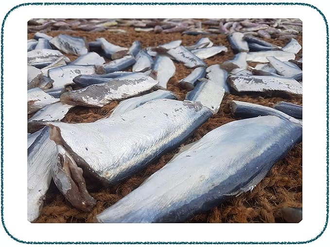 Lemurian's Rameswaram Special Traditionally Preserved Premium Ribbon Fish | - 400g