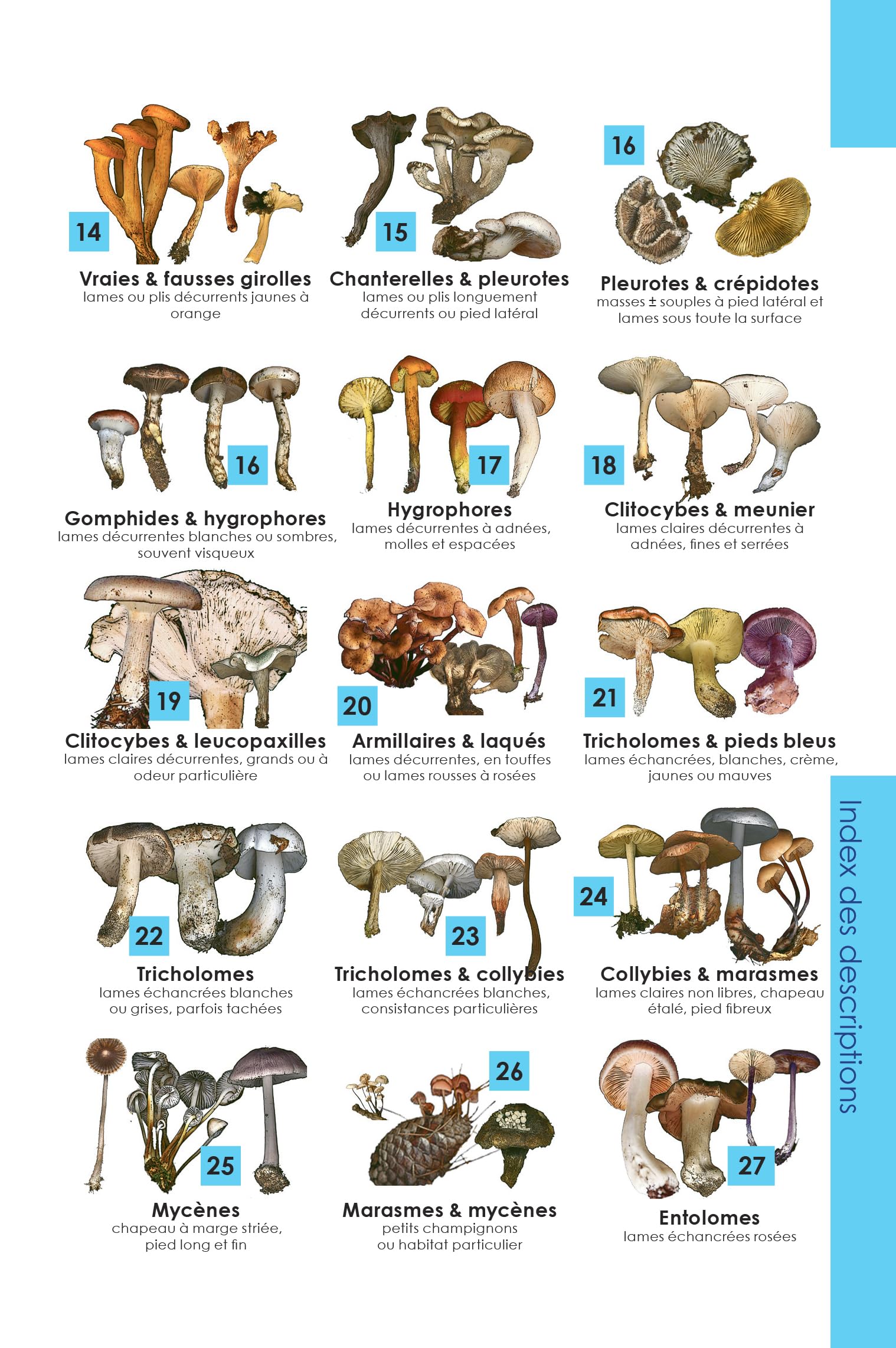 Identifier les champignons: Guide de poche de mycologie officinale