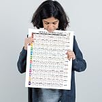 Zastic! Ultimate Ukule Chords Chart - 12in x 17in Affiche doublée stratifiée pour les débutants - Théorie de la musique Feuille de thé à thé tout en un