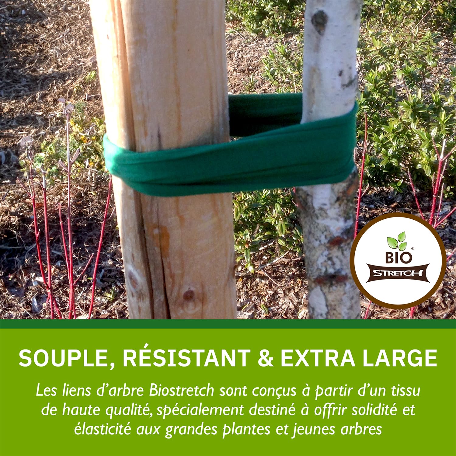 Effaband Serre-plantes 25 M Polyester Résistant - Largeur 50 Mm - Noir - Pour Arbres Et Arbustes