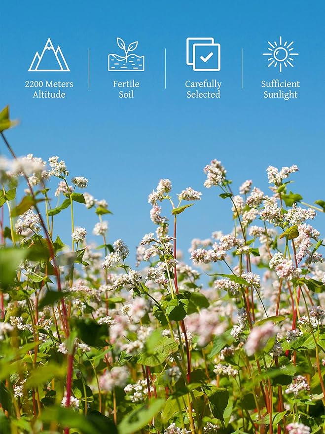 Té de Alforfón Negro en Hojas Sueltas 400g Sin Cafeína miniatura 5