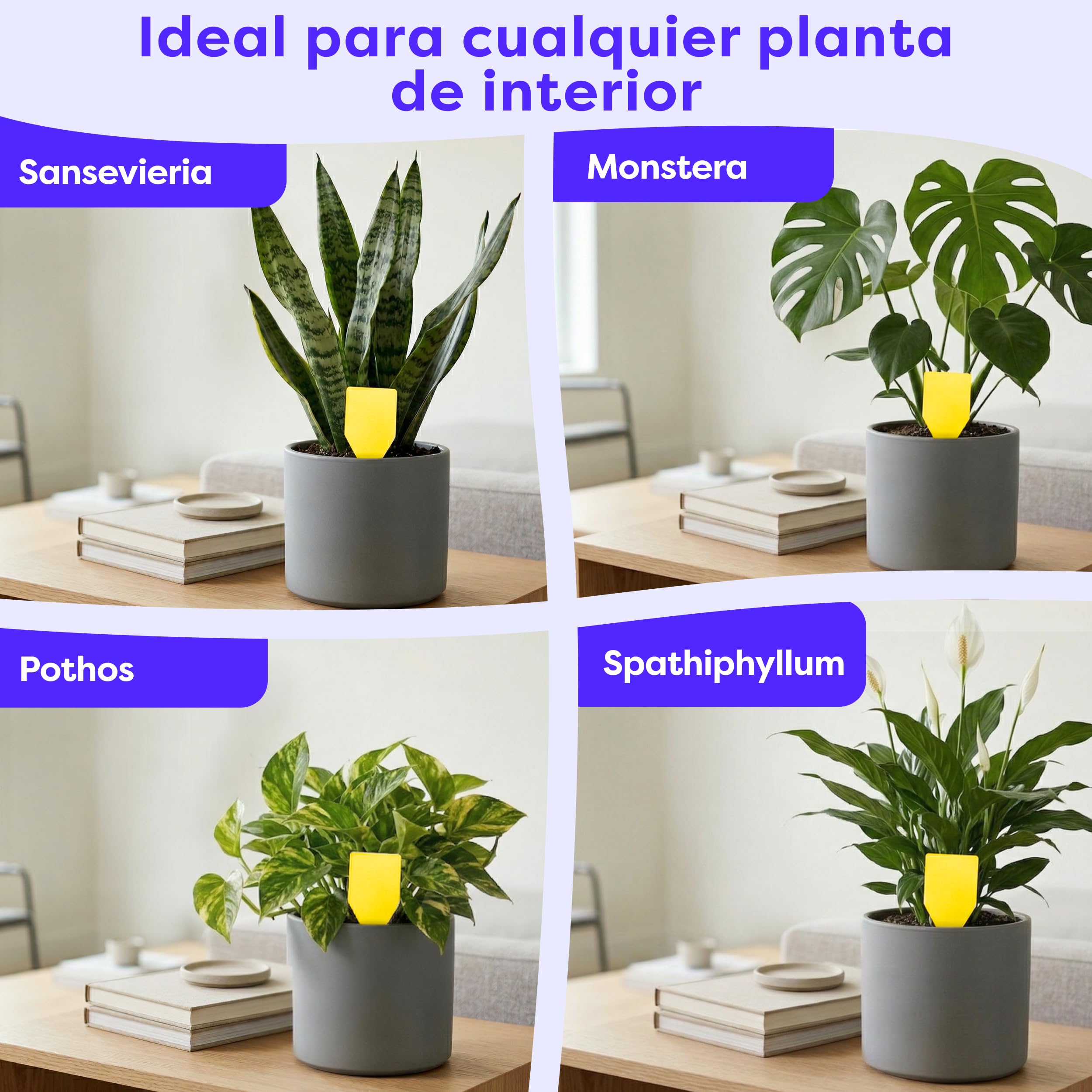 Wolkenfeld Trampa Moscas Plantas 60 Piezas Pegatinas – Trampas Amarillas para Insectos, Atrapa Mosquitos Adhesivo Doble Cara, Sin Insecticida – Interior, Macetas y Invernadero – Made in Germany