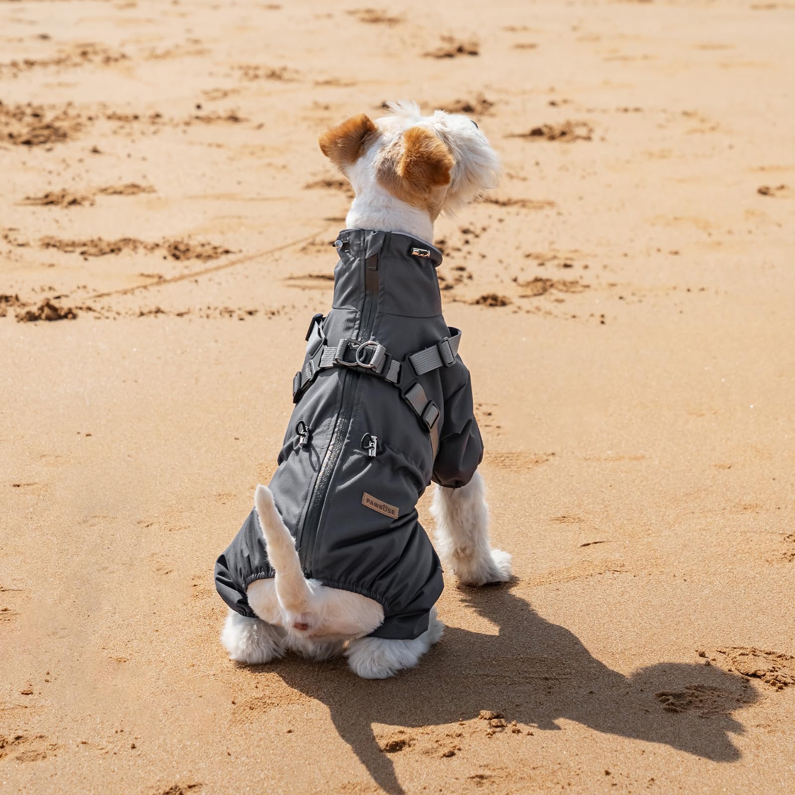 PAWBOSE Imperméables pour Chiens avec Harnais pour Chiens de Petite et Moyenne Taille, Veste de Pluie pour Chien Réglable, Manteau Pluie Chien Réfléchissant, 4 Jambes, Gris, M