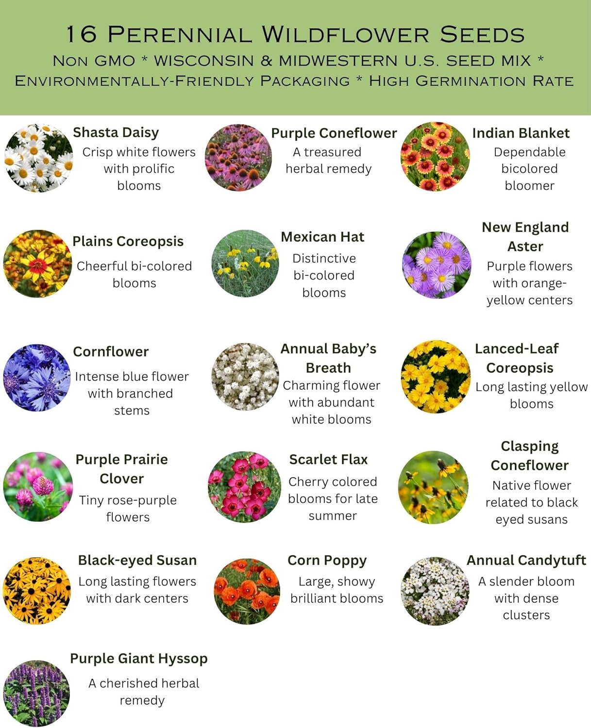 Wisconsin Bulk Perennial Wildflower Seed Mix 1lb Covers 2,000sq-ft - Attract Pollinators, Multi-Color Blooms - Midwest US Species Plant in Spring/Fall - Earth-Friendly Packaging (1 Pound)