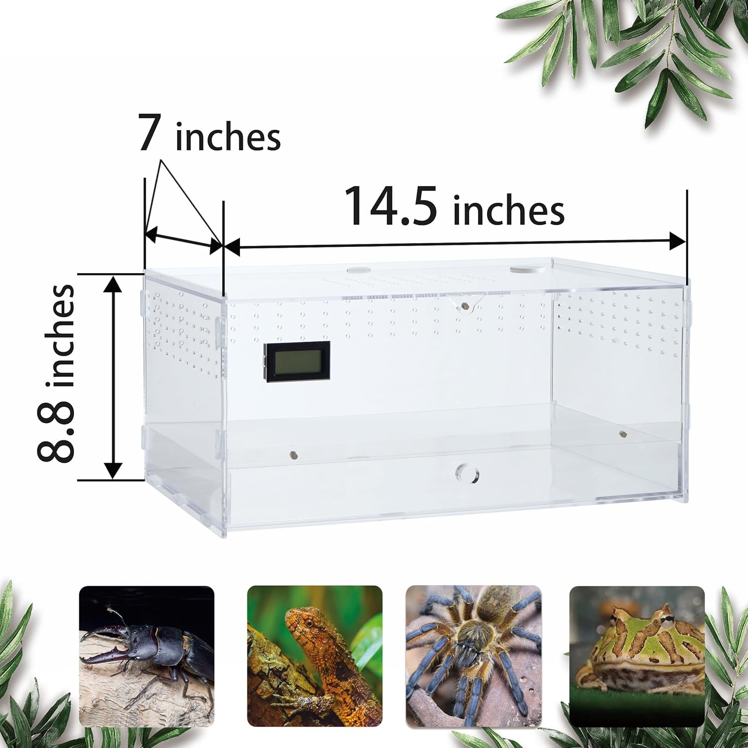 Acrylic Clear Reptile Habitat Enclosure Terrarium with Latch ，Perfect for Amphibians and Invertebrates Such as Spiders, Frogs, etc (Horizontal Large)