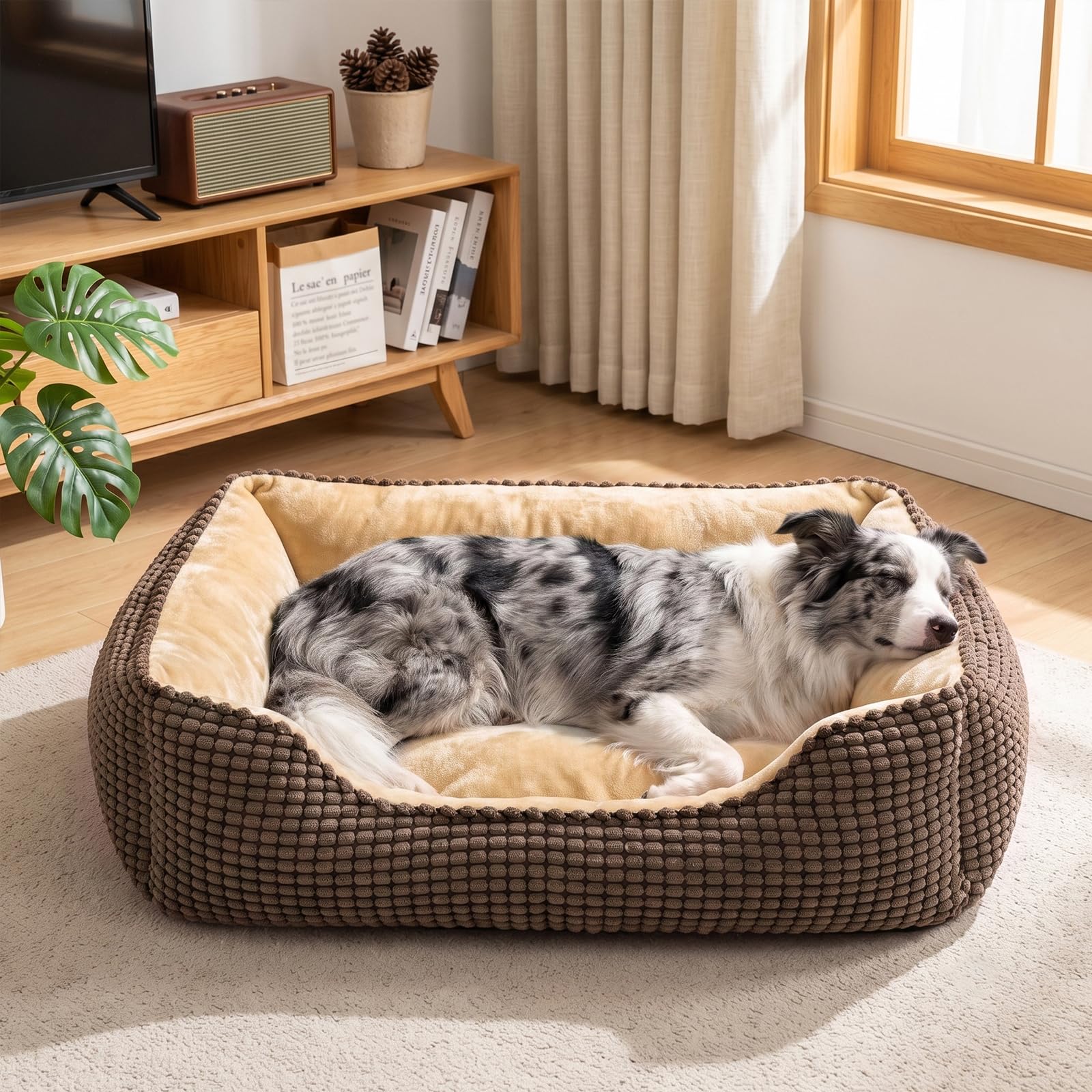JOEJOY Cuccia Cane Interno Media, Cuccia per Cani Lavabile, 76x61x23cm | Cuccia Cane Anti-Ansia & Supporto, Antiscivolo Lavabile, Soffice, Flanella Morbida & Velluto a Coste Traspirante Durevole