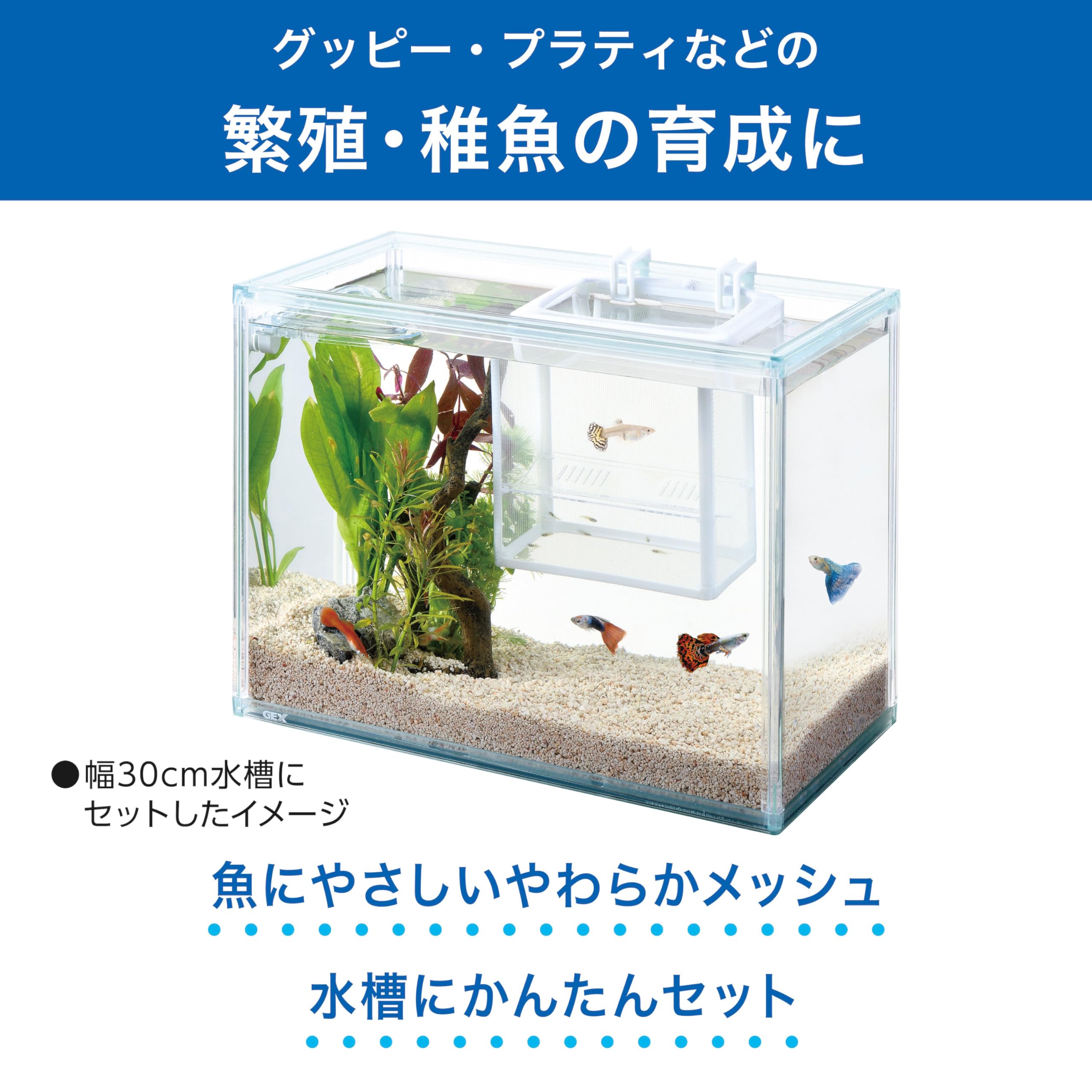 Amazon | ジェックス やわらかメッシュの繁殖ケース 繁殖隔離ボックス