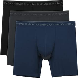 David Archy Men's 3 Pack Underwear Micro Modal Separate Pouches Boxer Briefs with Fly
