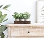 Dahey 3 Pack Mini Potted Artificial Eucalyptus Fake Plants with Wood Tray Centerpiece Table Decorations, Farmhouse Pulp Flower Pots Greenery Home Decor for Coffee Table Dining Room Office Kitchen