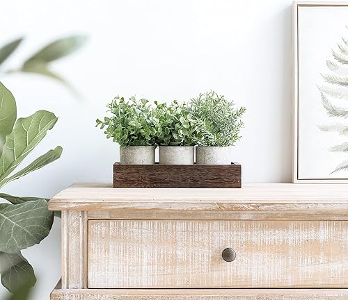 Miniatura 3 de Dahey Paquete de 3 mini plantas artificiales de eucalipto en maceta con bandeja de madera centro de mesa macetas de pulpa de granja decoración del