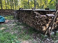 Review Image by MG MG