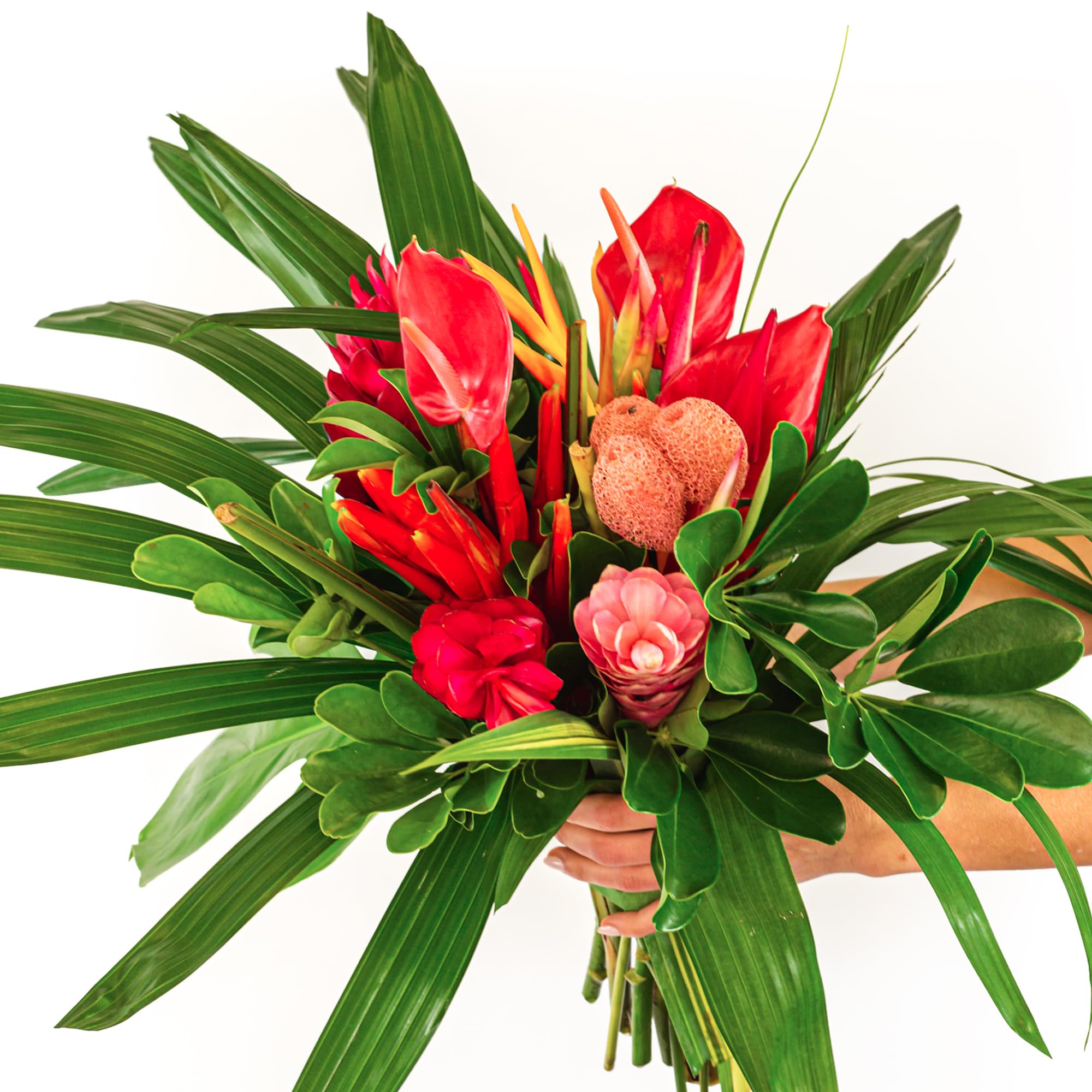 BloomsyBox: Tropical Bouquets Vacation in the Tropic, Fresh Cut Flowers, Long Lasting & Hand-Tied, Farm Fresh Flowers Bouquet, Responsibly Sourced |