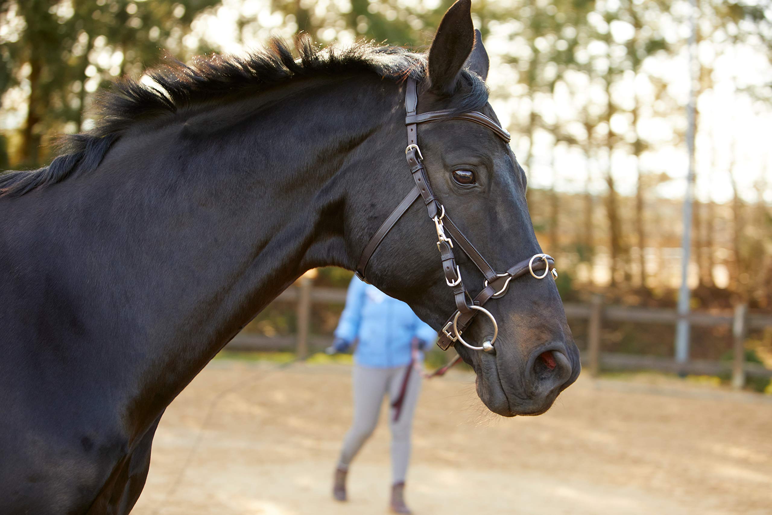 Tack Horses Kieffer Lunge cavesson Kieffer Ultrasoft Pet Supplies