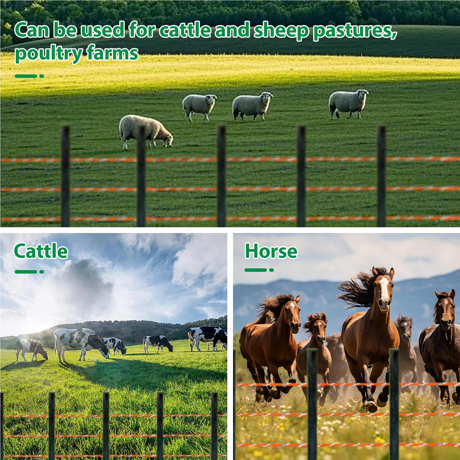 1000 M Fil de Clôture Électrique,Clôture Electrique pour animaux | 6 Brins de Fil Acier Inox,pour Clôture Electronique du Bétail,Résistant à Rouille, pour Chevaux, Vaches, Moutons et Chiens